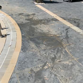 Halal Paradise Didim Tatilimizde Beklenmedik Misafirler Ve Sorunlar