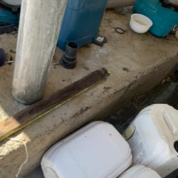 Halal Paradise Didim Tatilimizde Beklenmedik Misafirler Ve Sorunlar
