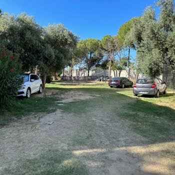 Halal Paradise Didim Tatilimizde Beklenmedik Misafirler Ve Sorunlar