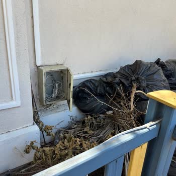 Halal Paradise Didim Tatilimizde Beklenmedik Misafirler Ve Sorunlar