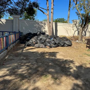 Halal Paradise Didim Tatilimizde Beklenmedik Misafirler Ve Sorunlar