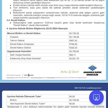 Anadolu Hayat Emekliliğin Ana Paraya Dahi El Koyması