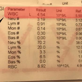 Dr. Pets Veteriner Kliniği Kedinizin Yaşamasını İstiyorsanız, Sokağından Bile Geçmeyin!