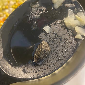 Penguen Gıda Garnitür İçinden Çıkan Taş