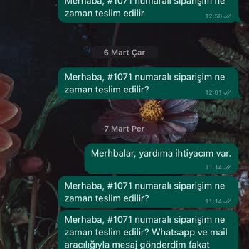 Pamilyum Ürünleri Göndermiyor Ve Oyalıyor. Mesajlara Cevap Vermiyor.