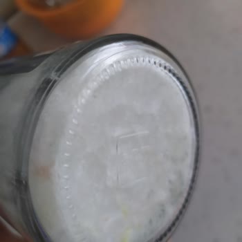 Wefood Hindistan Cevizi Yağında Küflenme