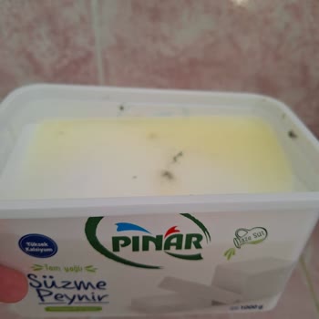 Pınar Et ve Süt Süpermarketten Alınan Peynirin Küflenme Sorunu