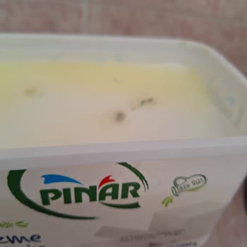Pınar Et ve Süt Süpermarketten Alınan Peynirin Küflenme Sorunu
