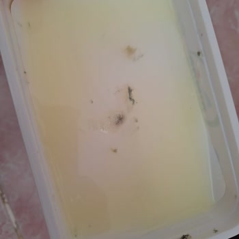Pınar Et ve Süt Süpermarketten Alınan Peynirin Küflenme Sorunu