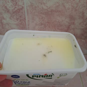 Pınar Et ve Süt Süpermarketten Alınan Peynirin Küflenme Sorunu