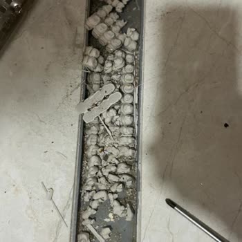 PAK Temizlik Hizmetleri (Edirne) Çözüm Yok