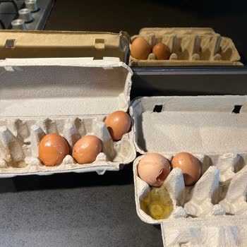 Migros Hemen Kırık Yumurta