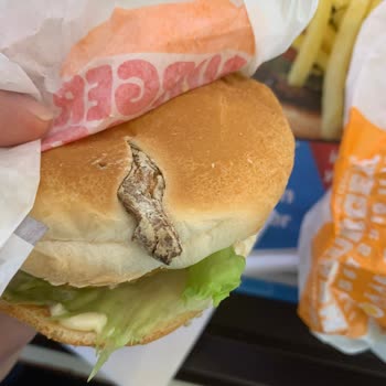 Burger King Ekmekte Ne Olduğu Belirsiz Madde