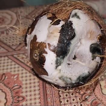 Gimsa Market Bozuk Ürünü Değiştirmiyor
