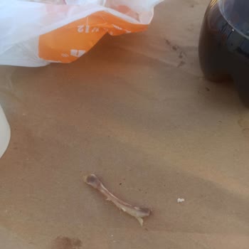 Burger King Ölüme Teşebbüs Kemikli Ürün