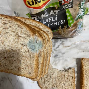 Yemek Sepeti'nde Küflü Ekmek Hayal Kırıklığı