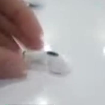 Trendyol Airpods Kablosuz Kulaklık