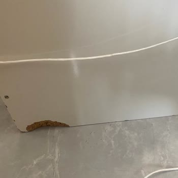 Ankara Söz Nakliyat Eşyalarımı Kırdı