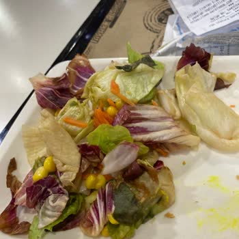 Tavuk Land Da Salata Vasatlığı