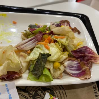 Tavuk Land Da Salata Vasatlığı