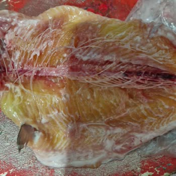 Migros İnsan Sağlığıyla Oynuyor. Bozuk Balık Skandalı!