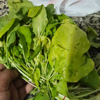 Migros İnsan Sağlığıyla Oynuyor. Bozuk Balık Skandalı!