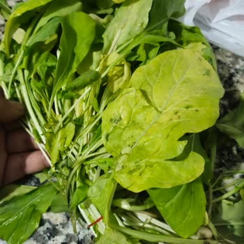 Migros İnsan Sağlığıyla Oynuyor. Bozuk Balık Skandalı!