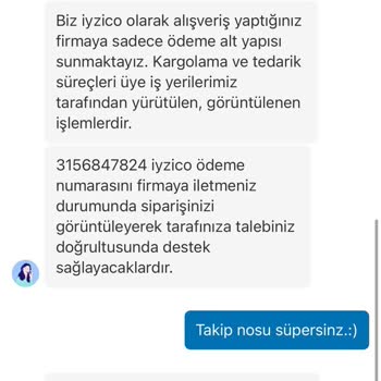 Dyson Sipariş Sırasında Parayı Çekiyor Ama Siparişini Onaylamıyor.