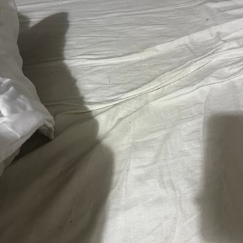 Zara Kıyafeti Diğer Kıyafetlerime Zarar Verdi