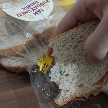 Migros Küflenmiş Ekmek Satıyor