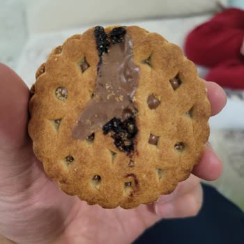 Ülker Probis Hatalı Ürün