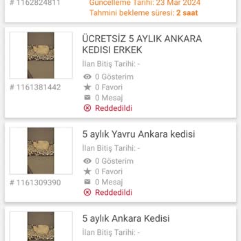 Sahibinden Evcil Hayvan Sahiplendirme İlanı Verememe!