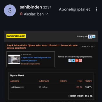 Sahibinden Evcil Hayvan Sahiplendirme İlanı Verememe!