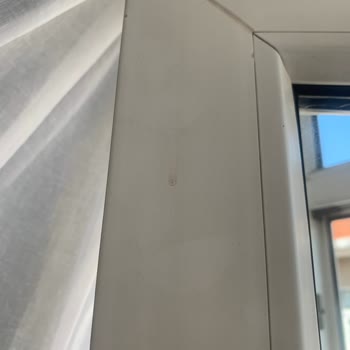 Benim Temizlikçim Firması Mağduriyetimi Gidersin!