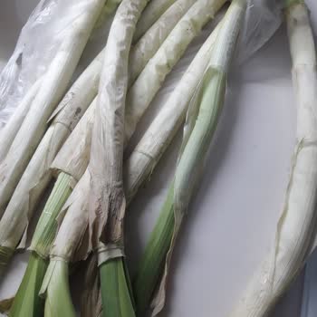 A101 Kapıda Bozulmuş Ürünleri Poşetleyip Göndermeyin!