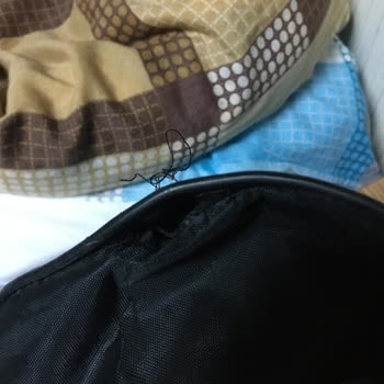 Pegasus Hava Yollarındaki Görevli Bayanın, Sert Ve Kaba Tavırları
