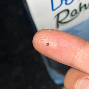 İçim Süt ve Süt Ürünleri İçim Laktozsuz Sütten Böcek Çıktı