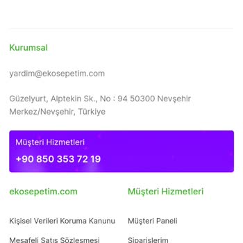 Ekosepetim.com, Un Bilinmezliği İle İlgili Sorun