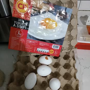 CP Piliç CP Marka Yumurta