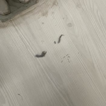 Lydsto Hiçbir Faydasını Göremedim