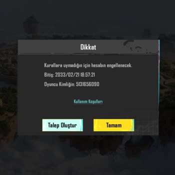 PUBG (Pubgmobile.com) Ban Affı Bir Defalık