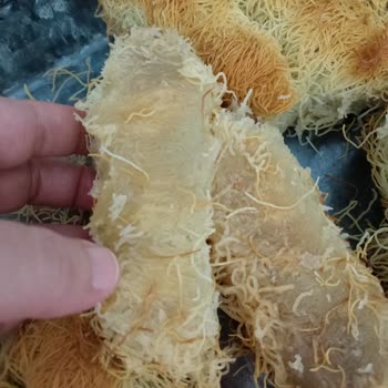 Bosch Fırının Pişirme Problemi Ve Hayal Kırıklığı