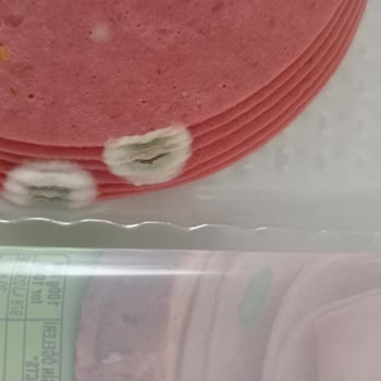 Aytaç Gıda Salam Küflü Çıktı