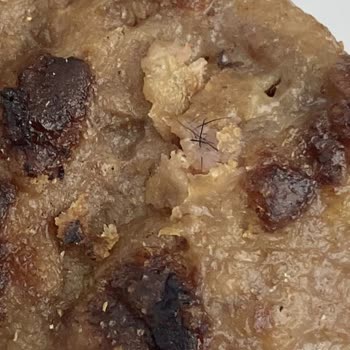 Köfteci Yusuf Beylikdüzü Şubesi -köftelerin İçinden Erkek Sakalı Çıktı