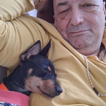 Pedigree Yemek Sonrası Gaz