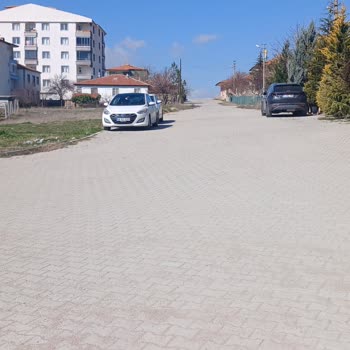 Kırıkkale Belediyesi Başıboş Köpeklerle İlgilenilmemesi