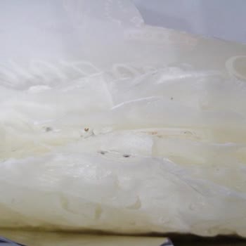 Kral Gıda Kral Güllaç Bizi Hayal Kırıklığına Uğrattın