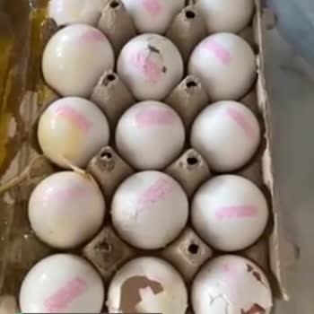 Migros Hemen'den Gelen Kırık Yumurta Siparişi!
