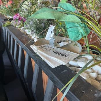 Katibim Lokantası Kötü Deneyim: Yüksek Fiyatlar, Yavaş Hizmet