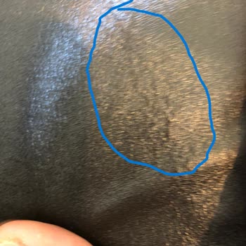 Derimod Deri Ceketimin Hasarı